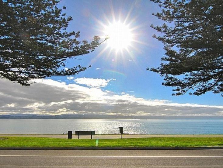 Beach House Studios Napier Zewnętrze zdjęcie